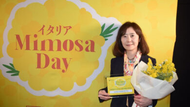 Photo of Tokyo: Mimosa day