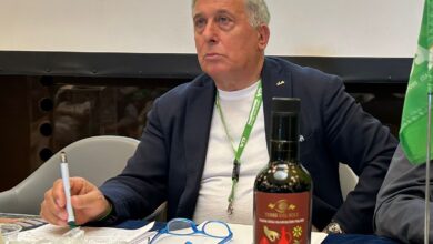 Photo of Sicolo: “La Grande Distribuzione non può far fallire l’olivicoltura italiana”