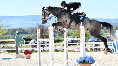 Photo of Tanca Regia, trofeo Asvi ad ostacoli. Il Gran Premio è griffato Gianleonardo Murruzzu-Blandina