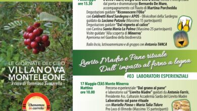 Photo of Villanova Monteleone: due giornate tra olio e vino, agnello e pane rituale