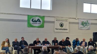 Photo of Bitonto, 14 milioni di fatturato per l’Oleificio Cooperativo Produttori Olivicoli