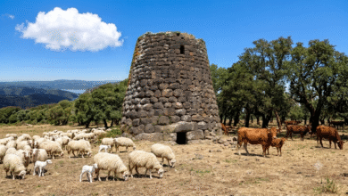 Photo of Sassari, Uniss celebra la Giornata mondiale contro la desertificazione e la siccità