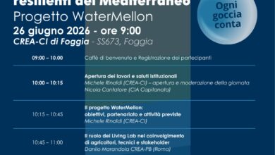 Photo of Foggia il Living Lab 2026 del progetto WaterMellon dedicato alla quinoa
