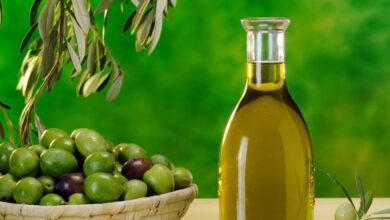 Photo of Italia, non solo economia: l’olio extravergine di oliva è un motore di sostenibilità sociale
