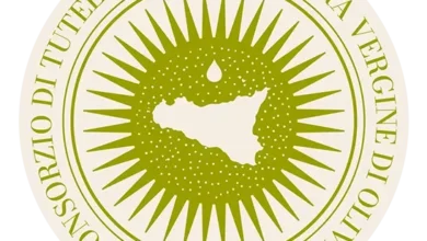 Photo of Siracusa, IGP Sicilia EVOO Day