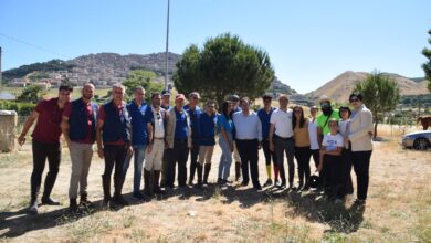 Photo of Gangi, successo per la XXI passeggiata delle associazioni ippiche di Sicilia