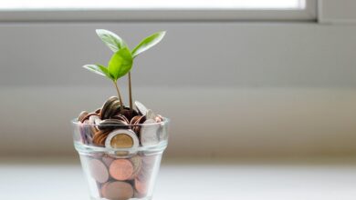 Photo of Cinque buone abitudini per migliorare la propria salute finanziaria secondo la fintech Bravo