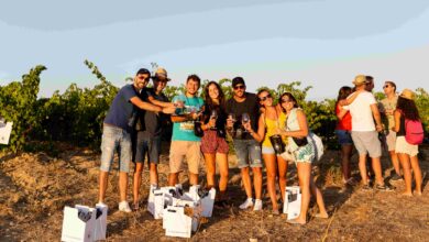 Photo of Donne del Vino, nasce il Gruppo Gen Z: oggi il debutto su TikTok e Instagram