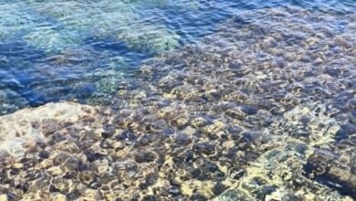 Photo of Italia, caldo africano in arrivo