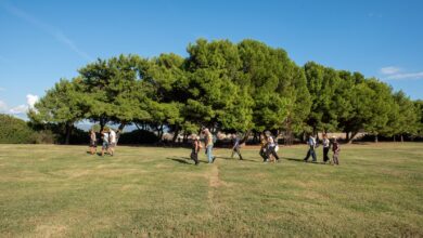 Photo of Cagliari, “Leggere il paesaggio”