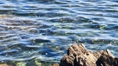 Photo of Ferragosto, storia e tradizioni italiane