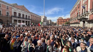 Photo of Orgoglio Olivicolo: “Niente scherzi, dalla Conferenza Stato-Regioni vogliamo risposte”