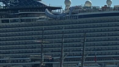 Photo of Palinuto all’ombra dell’enorme Cruiser